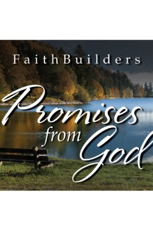 Promises from God - 5 x 4 designs