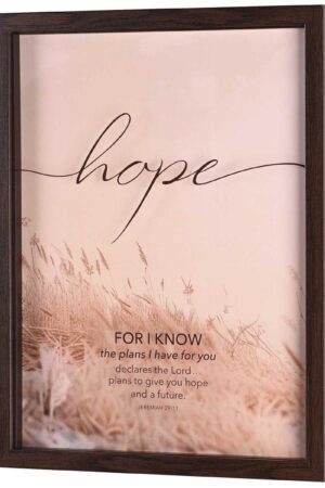 Framed Wall Art - Hope, For I Know Plans