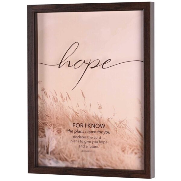 Framed Wall Art - Hope, For I Know Plans