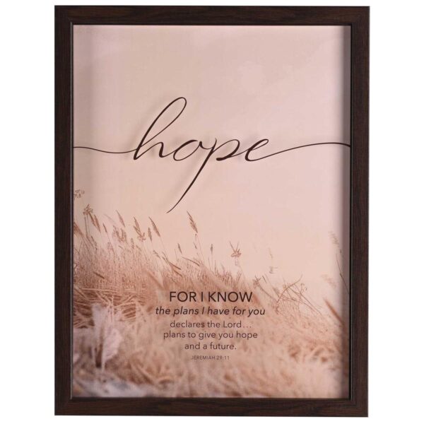 Framed Wall Art - Hope, For I Know Plans - Image 2